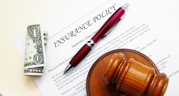 Policy Interpretation